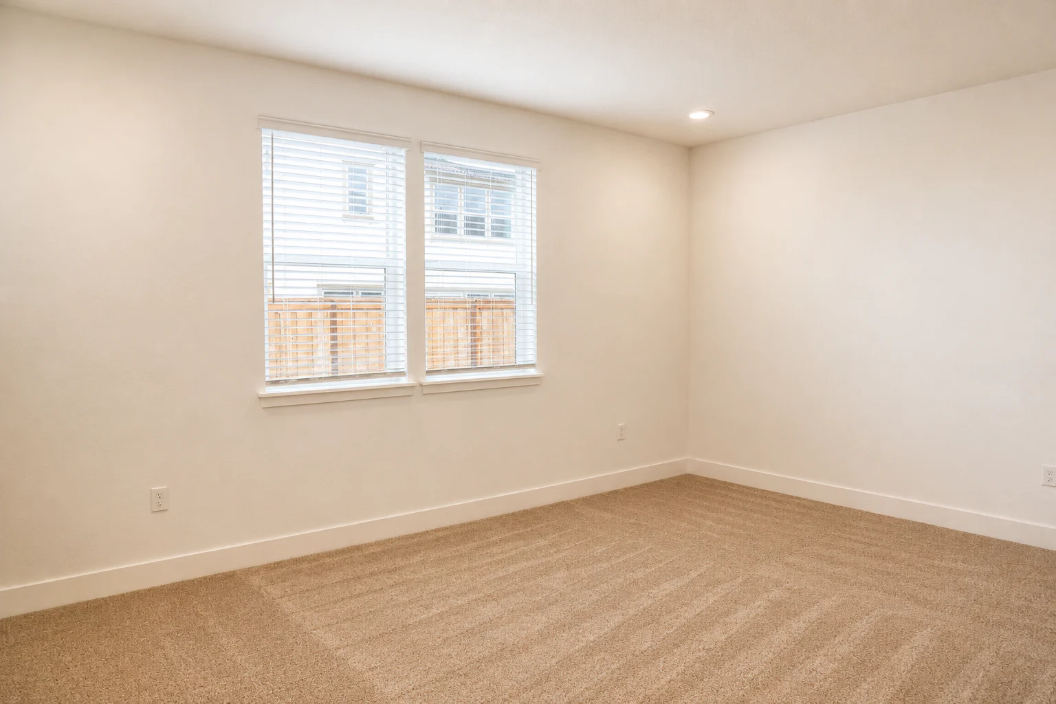 Gallery Photo 11