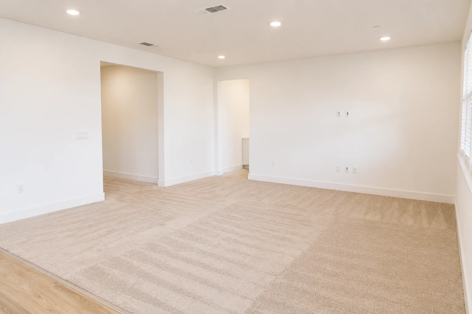 Gallery Photo 12