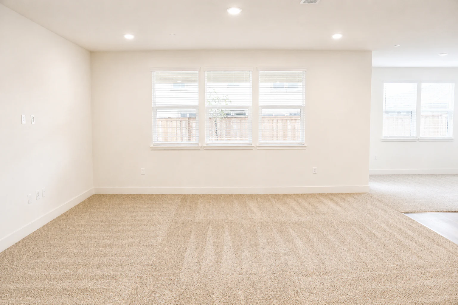 Gallery Photo 16