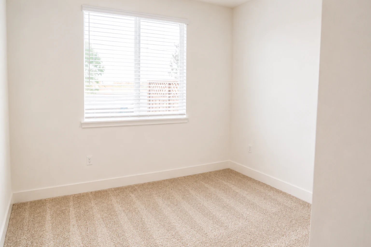 Gallery Photo 22