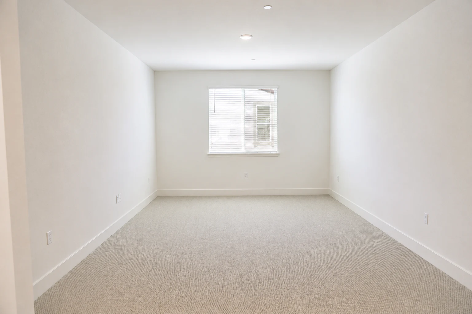 Gallery Photo 38
