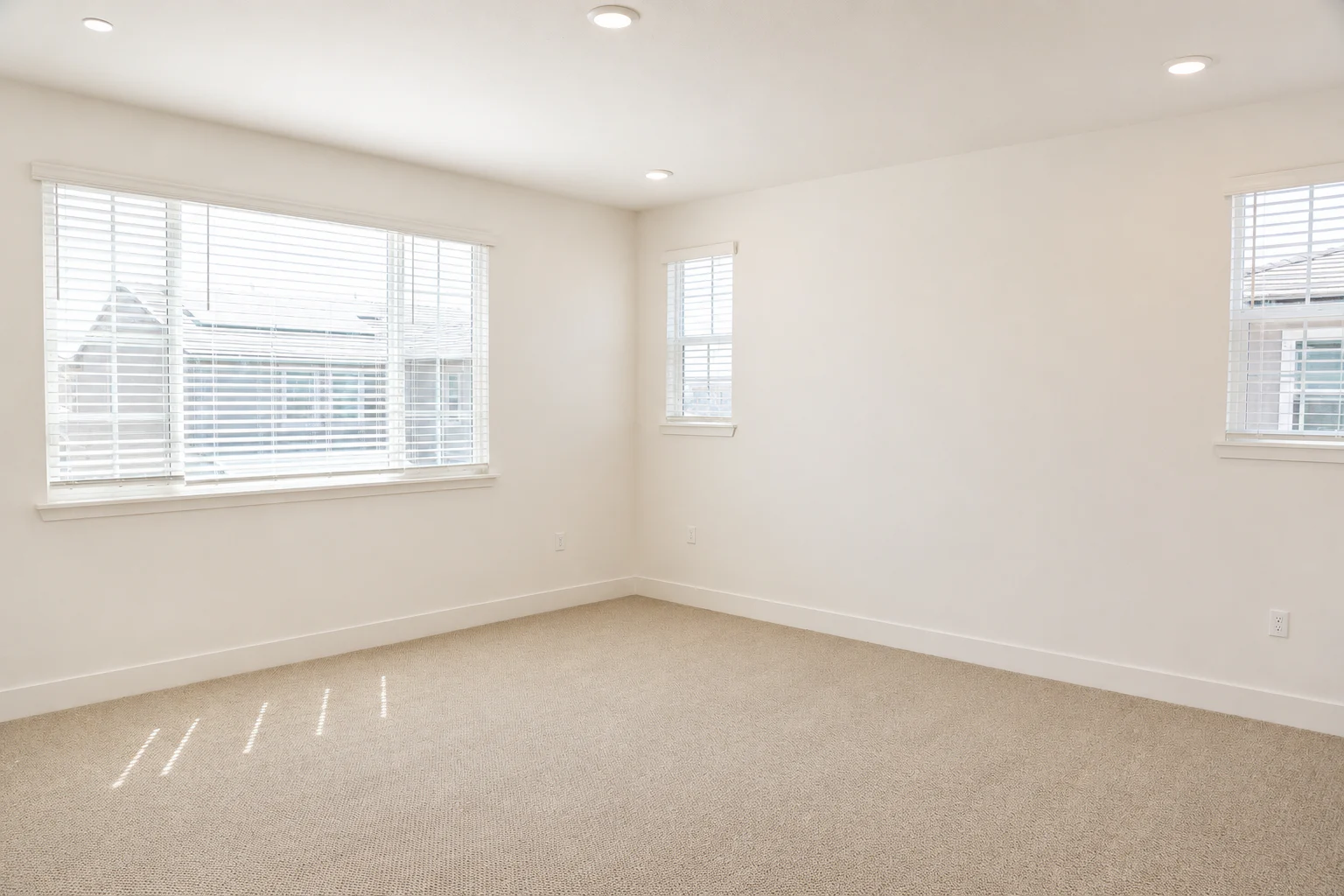 Gallery Photo 22
