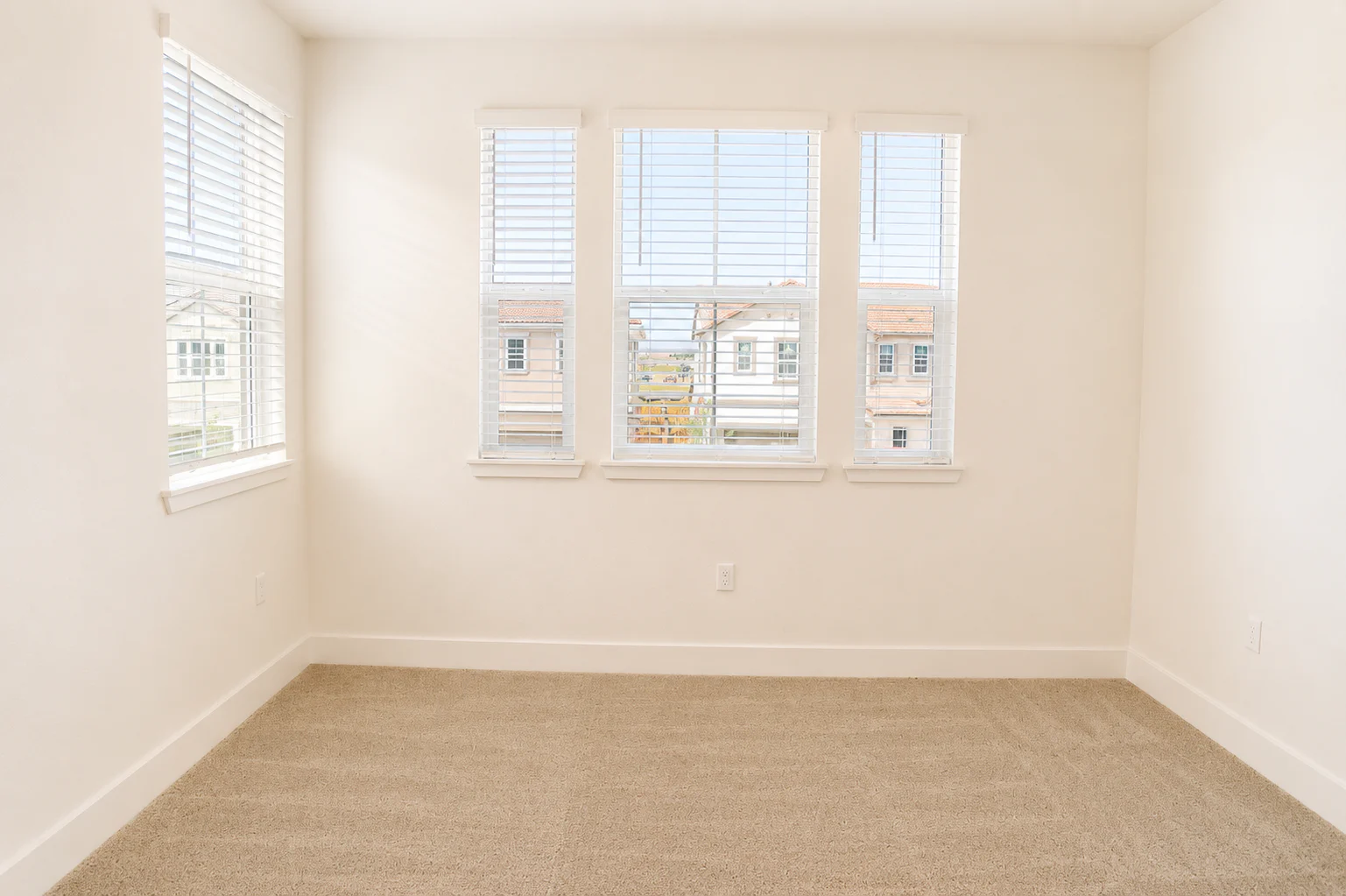 Gallery Photo 47