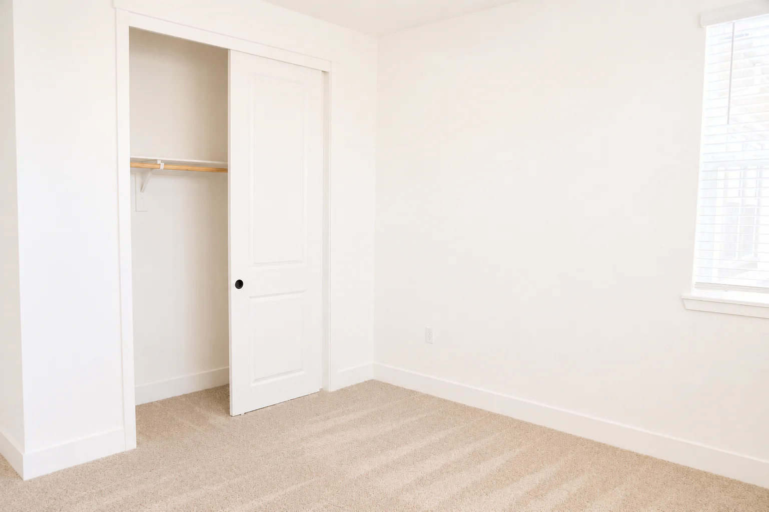Gallery Photo 48