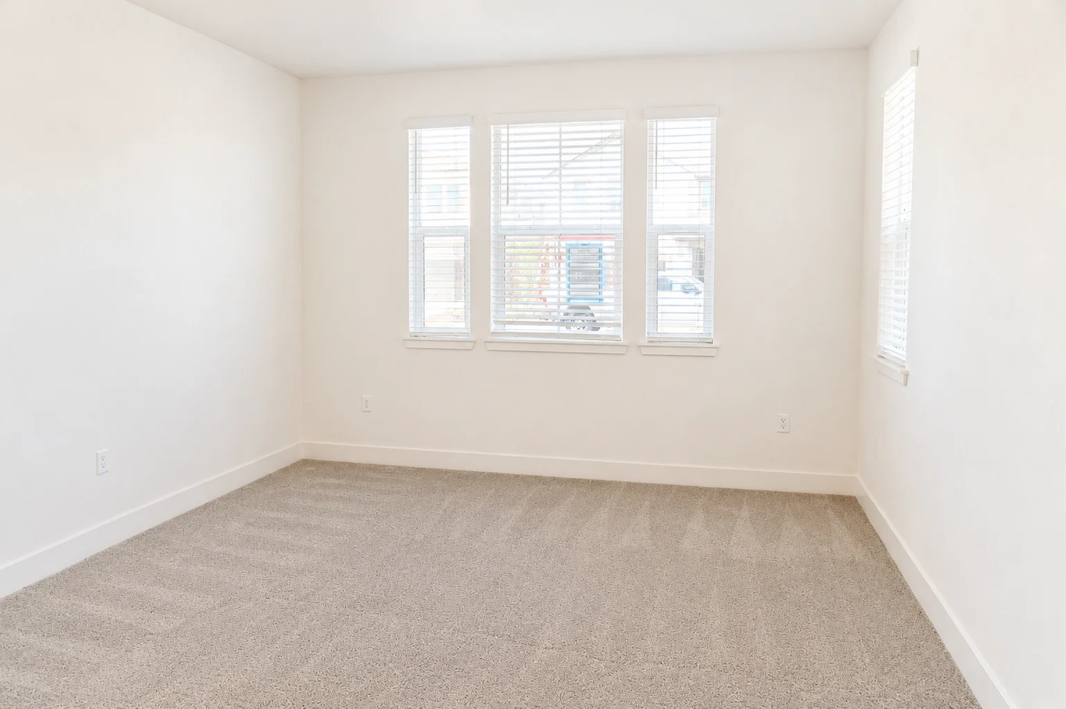 Gallery Photo 17