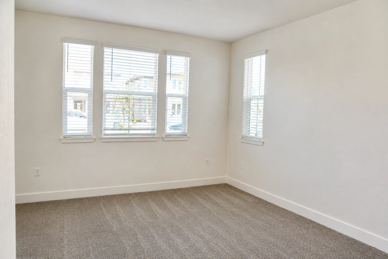 Gallery Photo 14