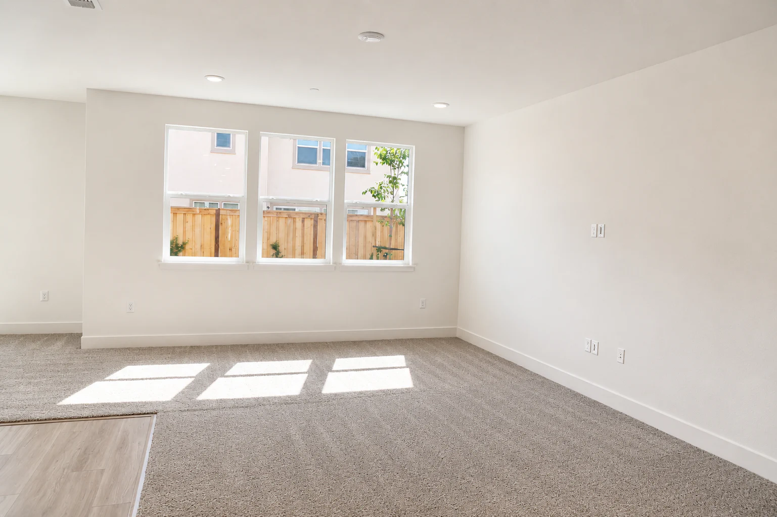 Gallery Photo 12