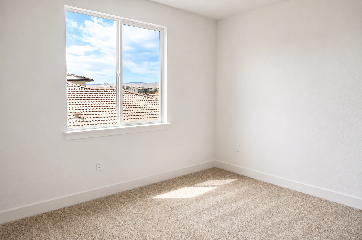 Gallery Photo 43